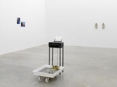Stille Kammer, Sammlung Philara, 2017