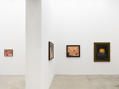 Installationsansicht TRÄUME, TRICHTER & TRICKSEREIEN Anton Henning